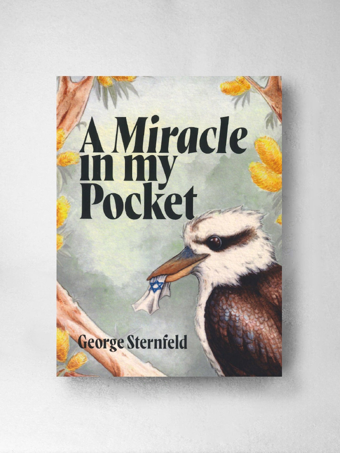 A Miracle in my Pocket - George Sternfeld