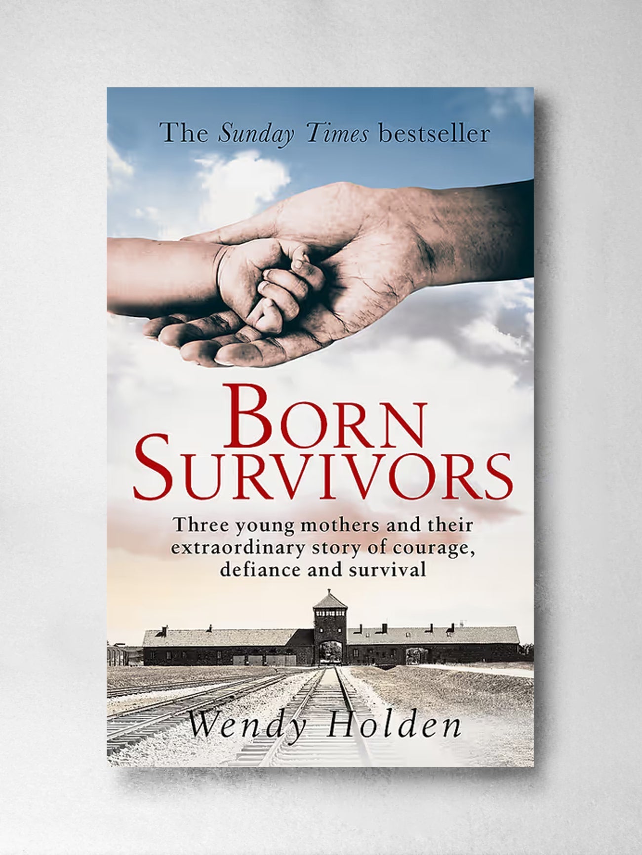 Born Survivors: Three young mothers and their extraordinary story of courage, defiance and survival - Wendy Holden