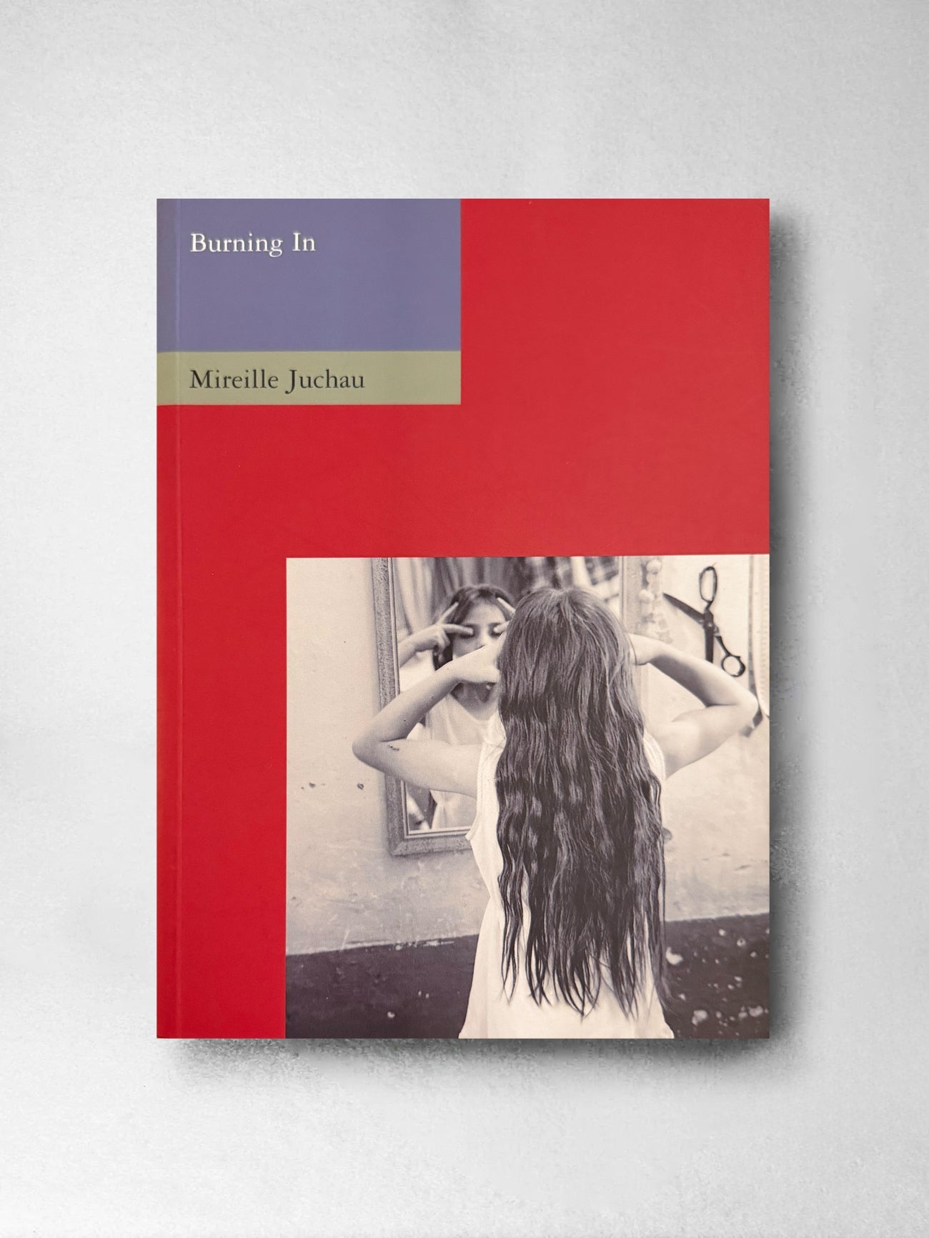 Burning In - Mireille Juchau
