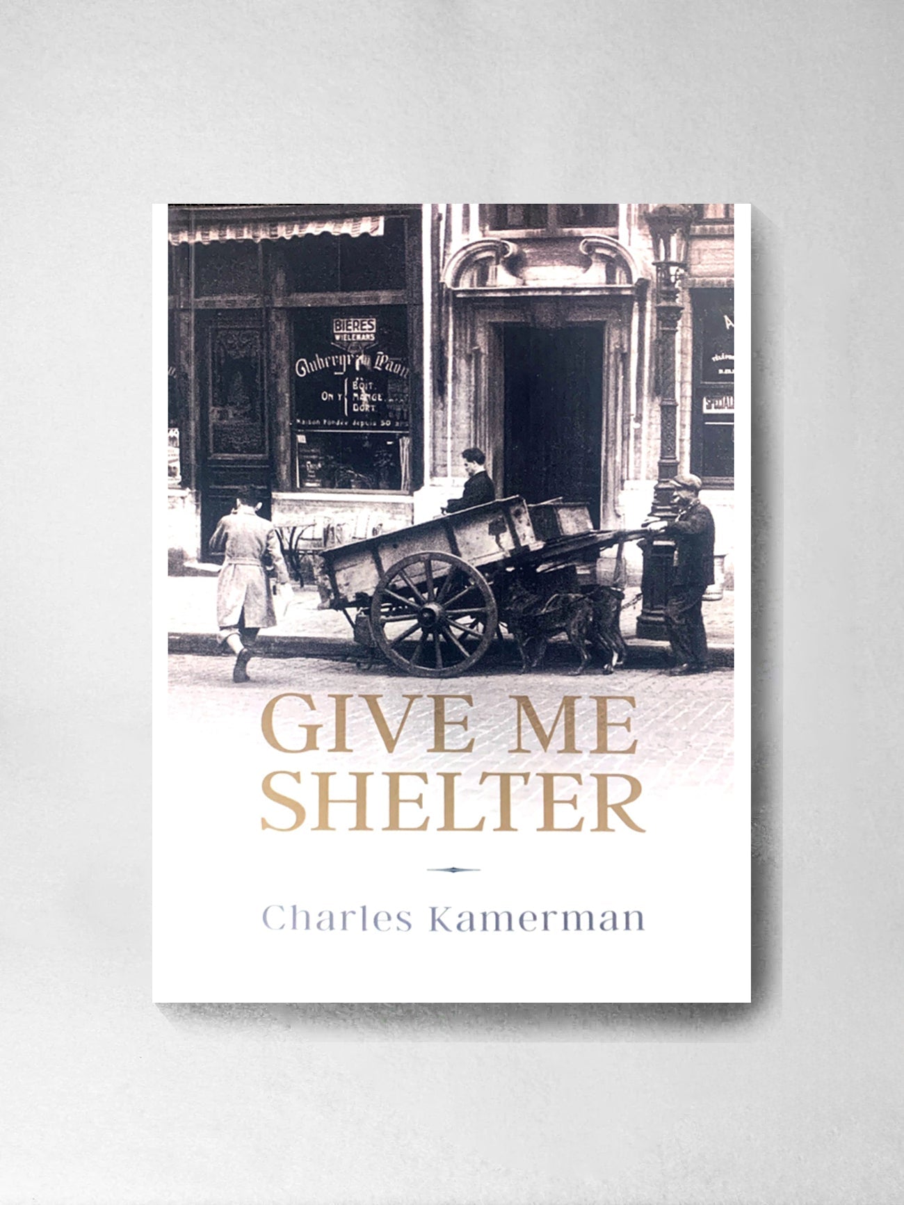 Give Me Shelter - Charles Kamerman