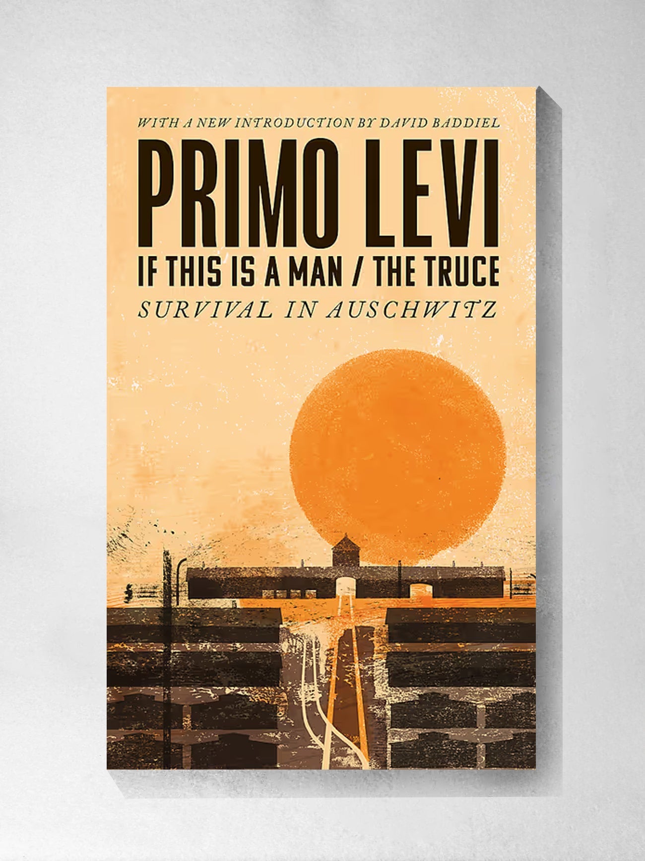 If This is a Man / The Truce - Primo Levi