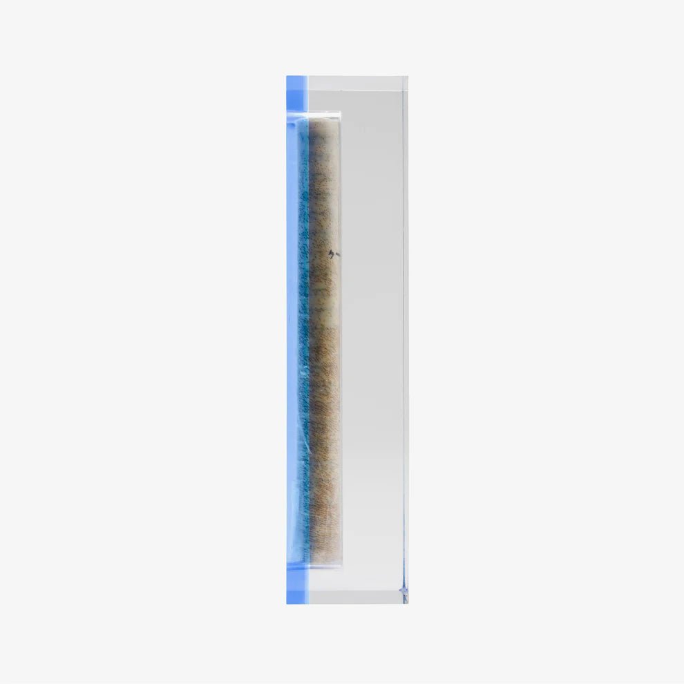 Mezuzah - Apeloig, Light Blue