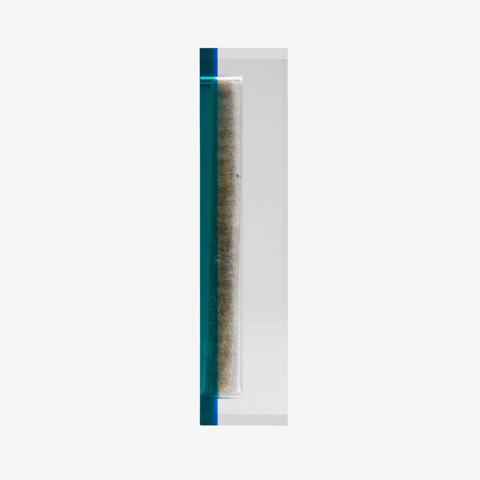 Mezuzah - Apeloig, Turquoise