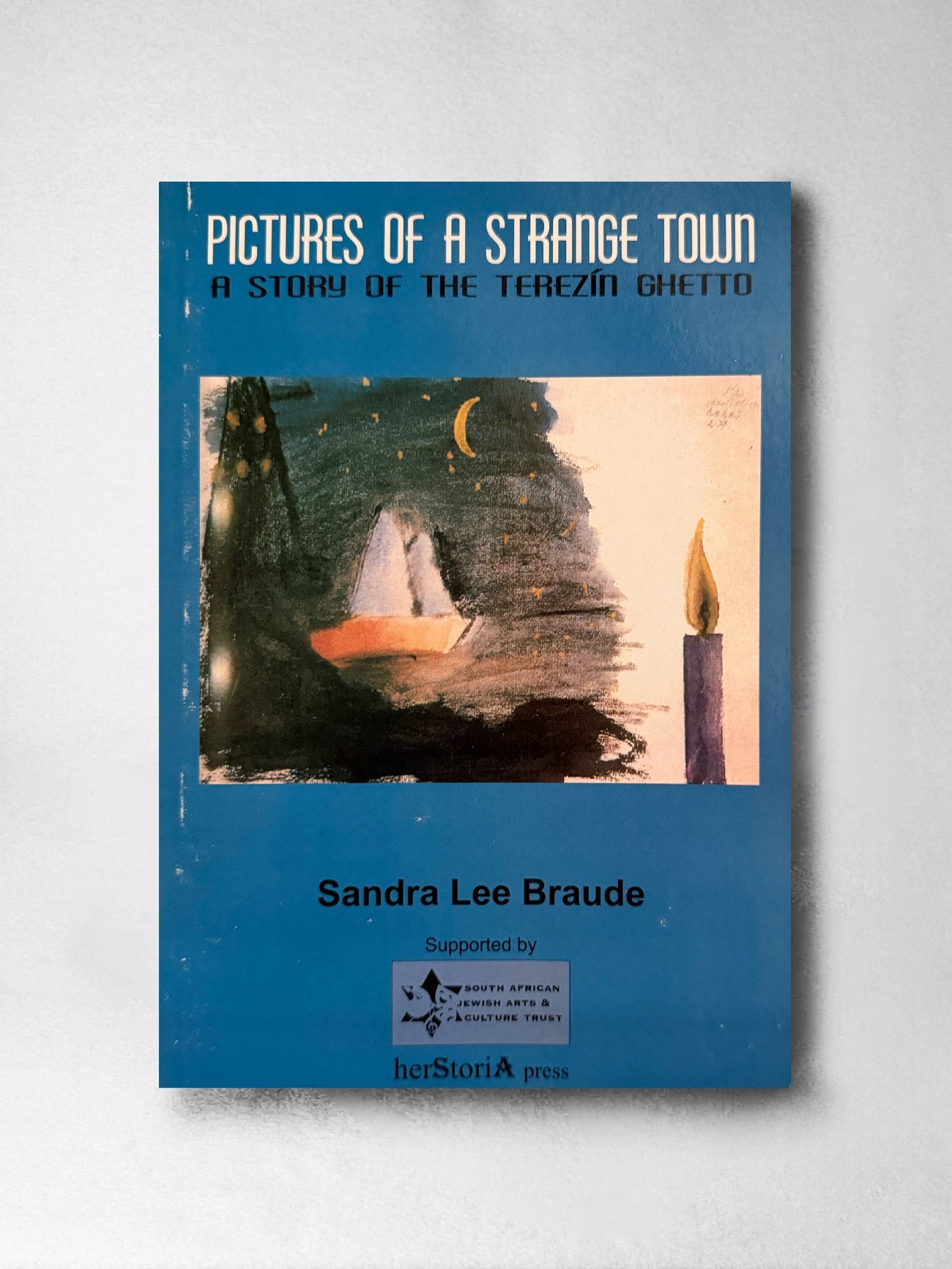 Pictures of a Strange Town : A Story of the Terezin Ghetto - Sandra Lee Braude