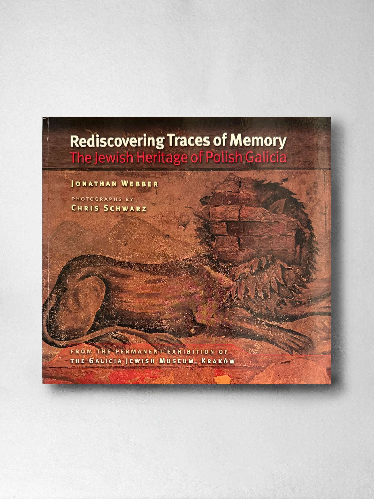 Rediscovering Traces of Memory: the Jewish Heritage of Polish Galicia - Jonathan Webber