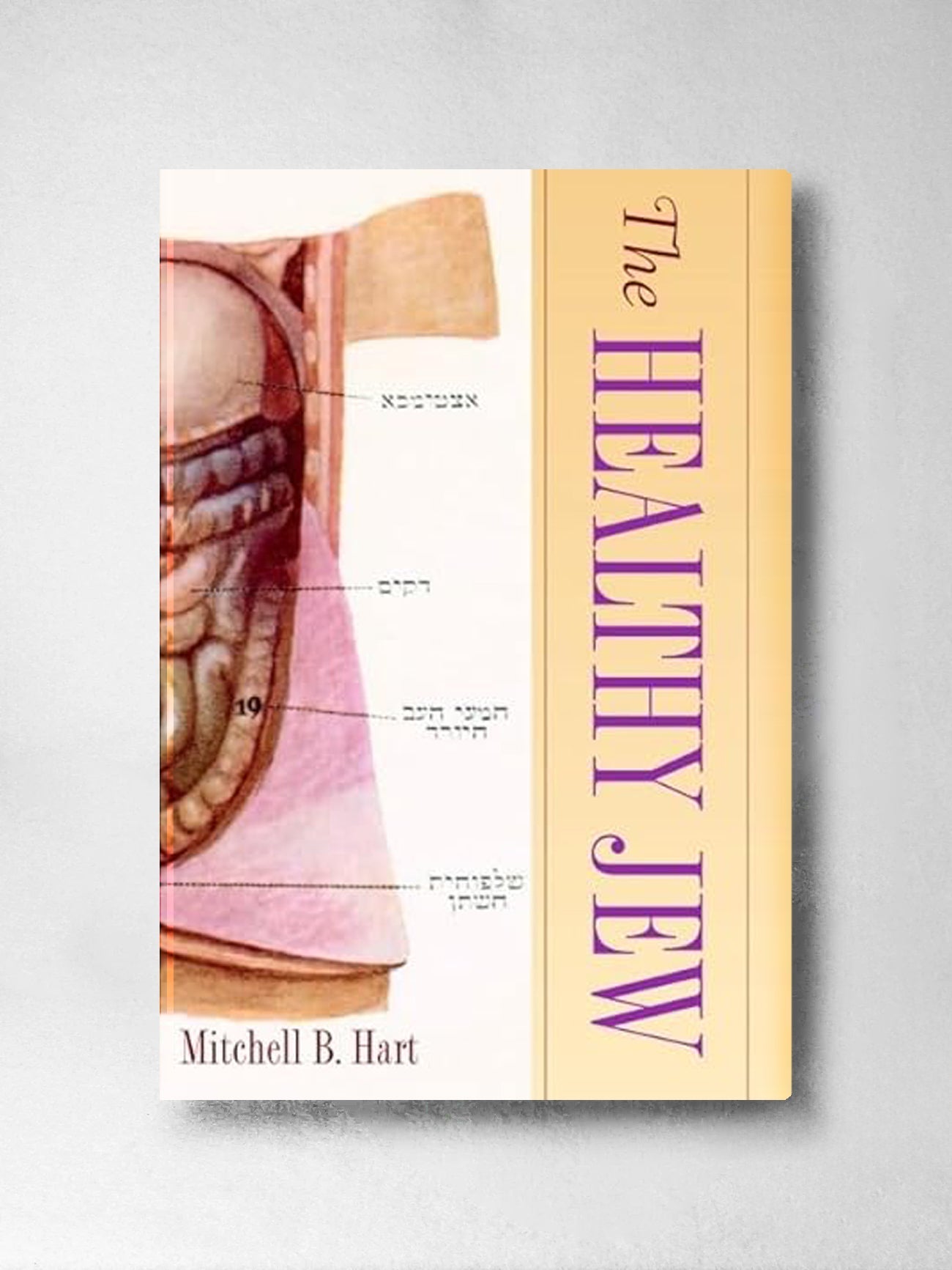 The Healthy Jew - Mitchell B Hart