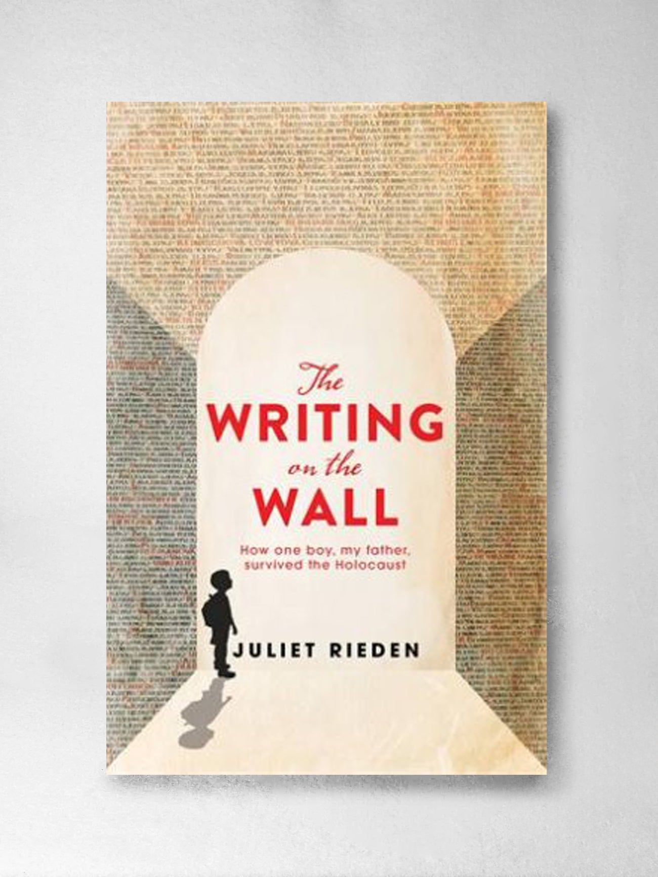 The Writing On The Wall - Juliet Rieden