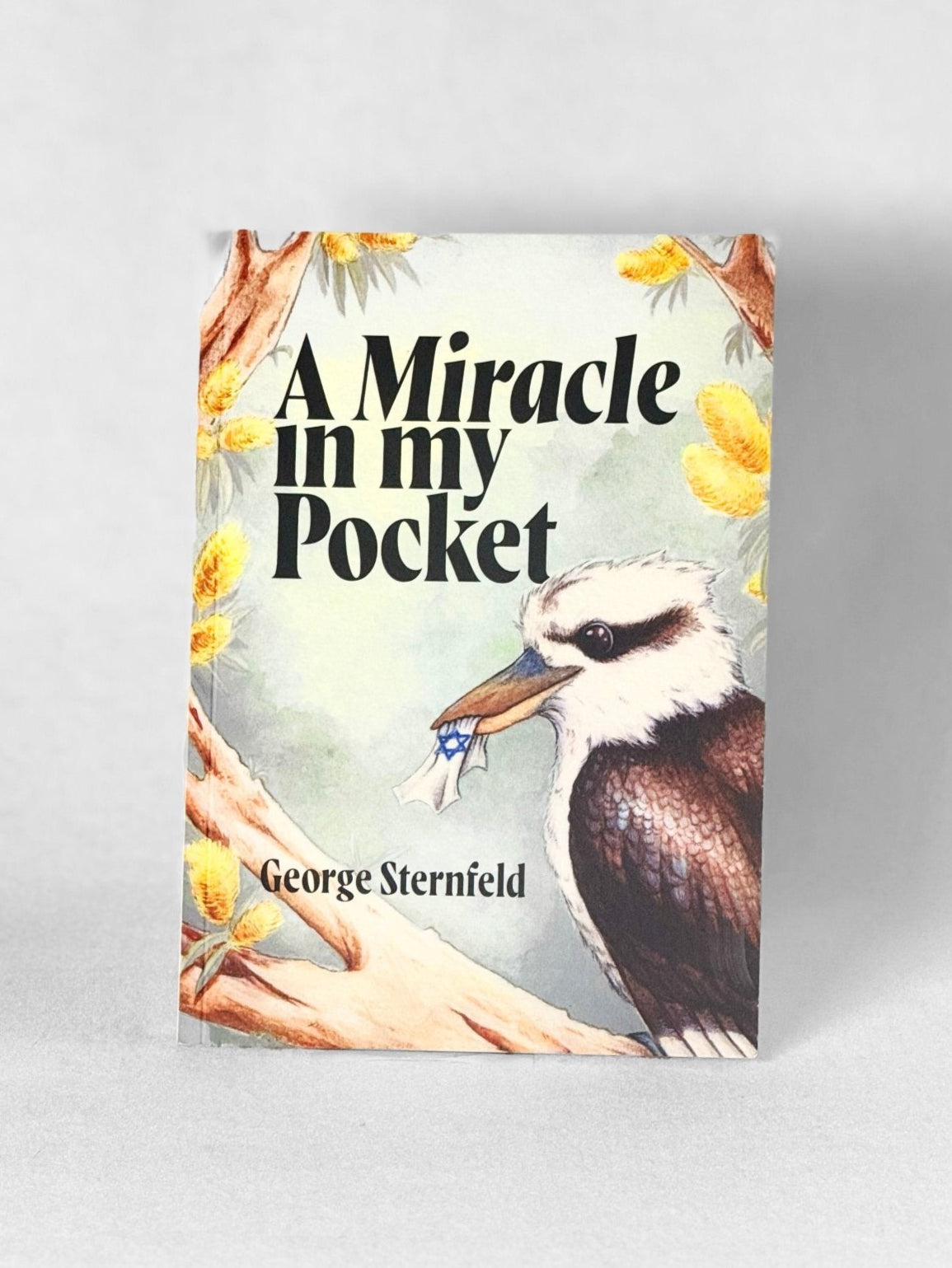 A Miracle in my Pocket - George Sternfeld