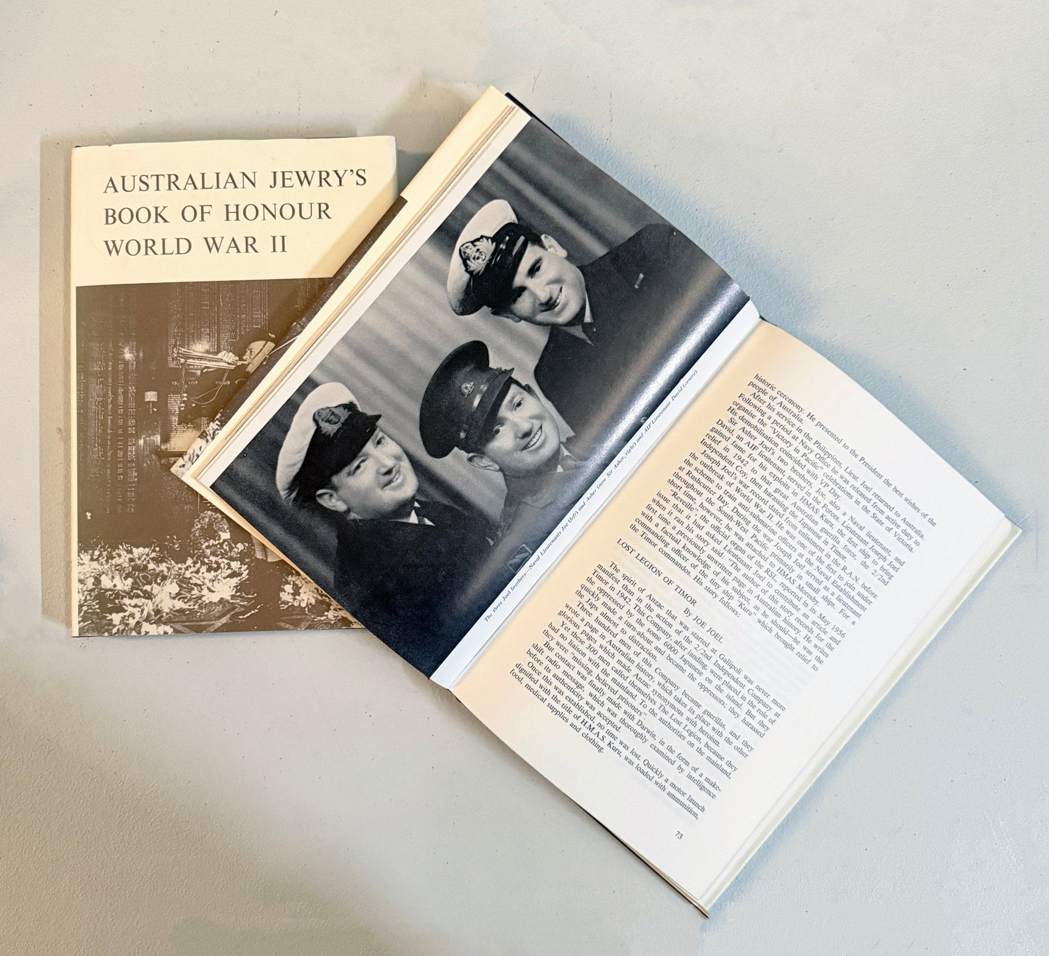 Australian Jewry's Book of Honour: World War II - Gerald Pynt (Ed)