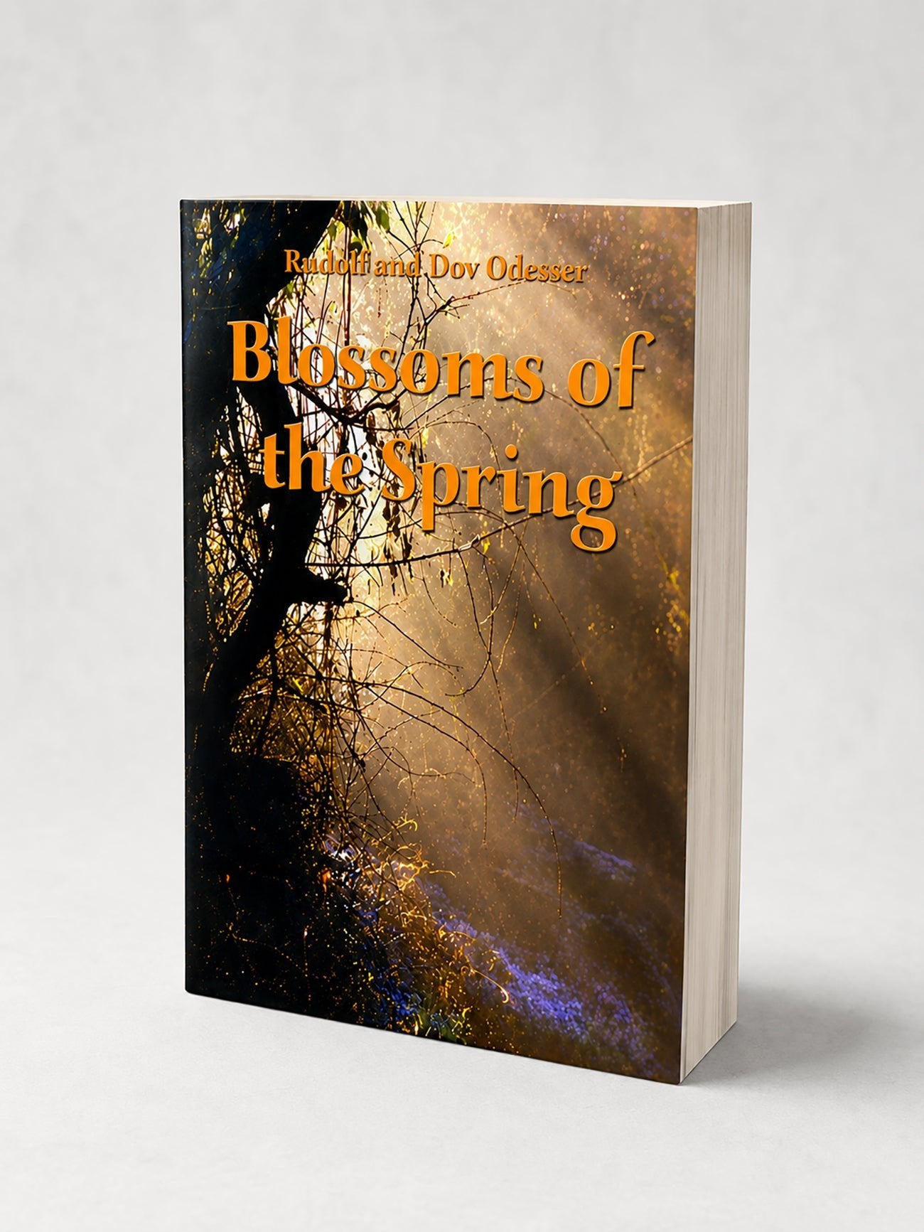 Blossoms of the Spring : Letters to the President of the State of Israel, Mr. Zalman Shazar - Rabbi Yisroel Ber Odesser