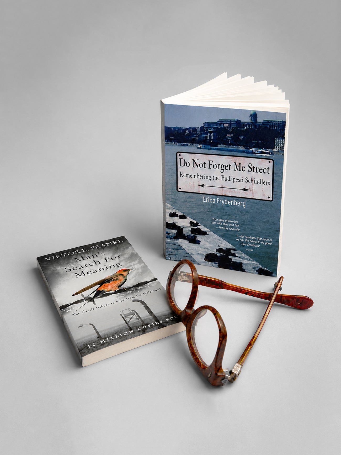 Do Not Forget Me Street - Erica Frydenberg