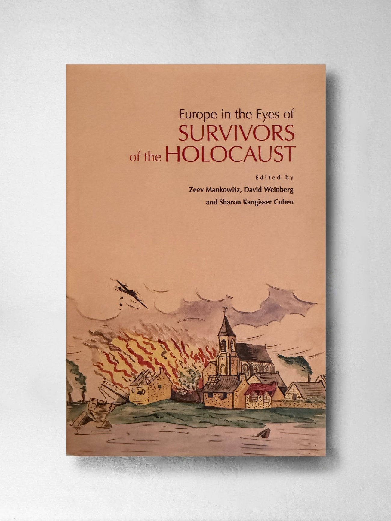 Europe in the Eyes of Survivors of the Holocaust - Zeev Mankowitz, David Weinberg, Sharon Kangisser Cohen (Ed)