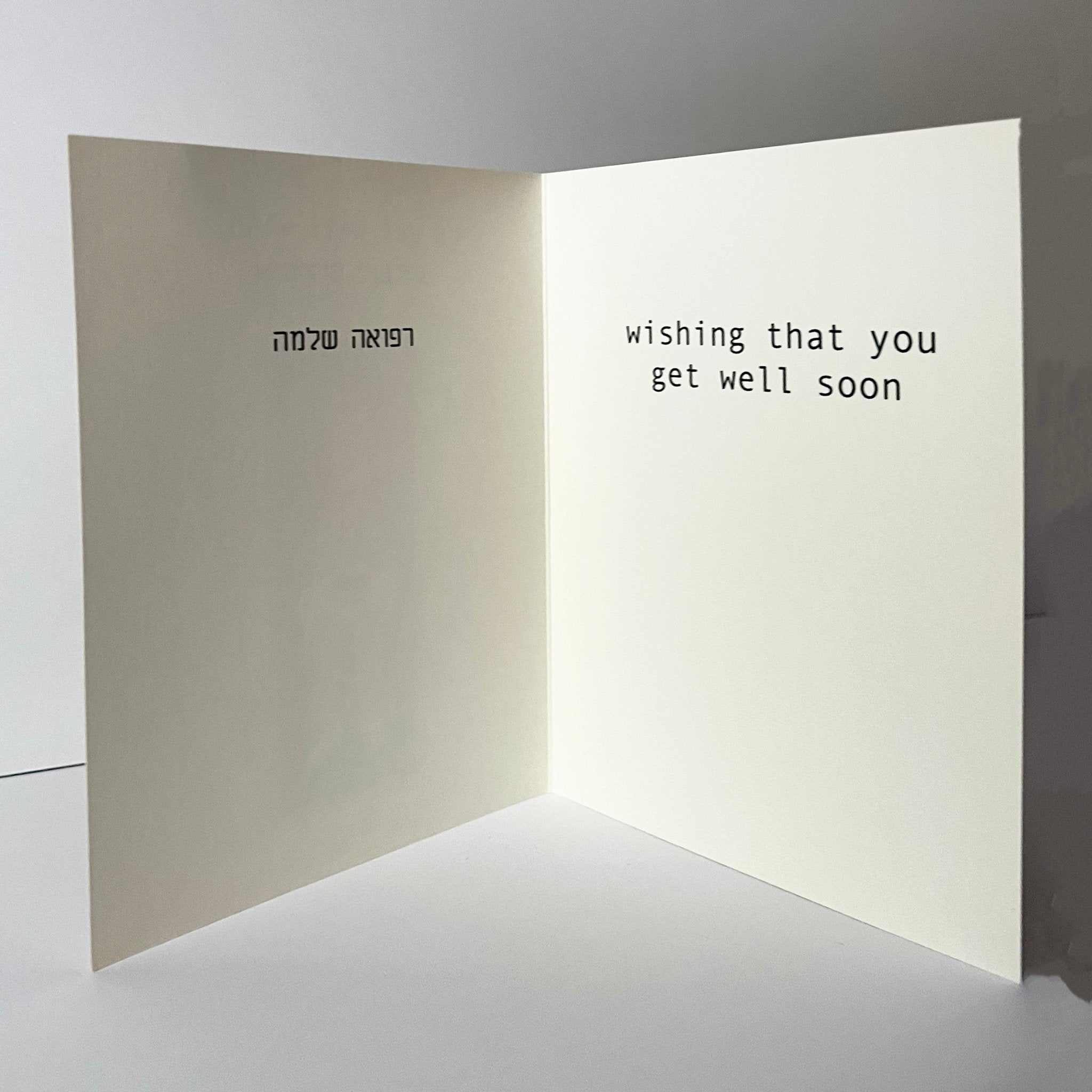 Greeting Card - A Get Well Wish
