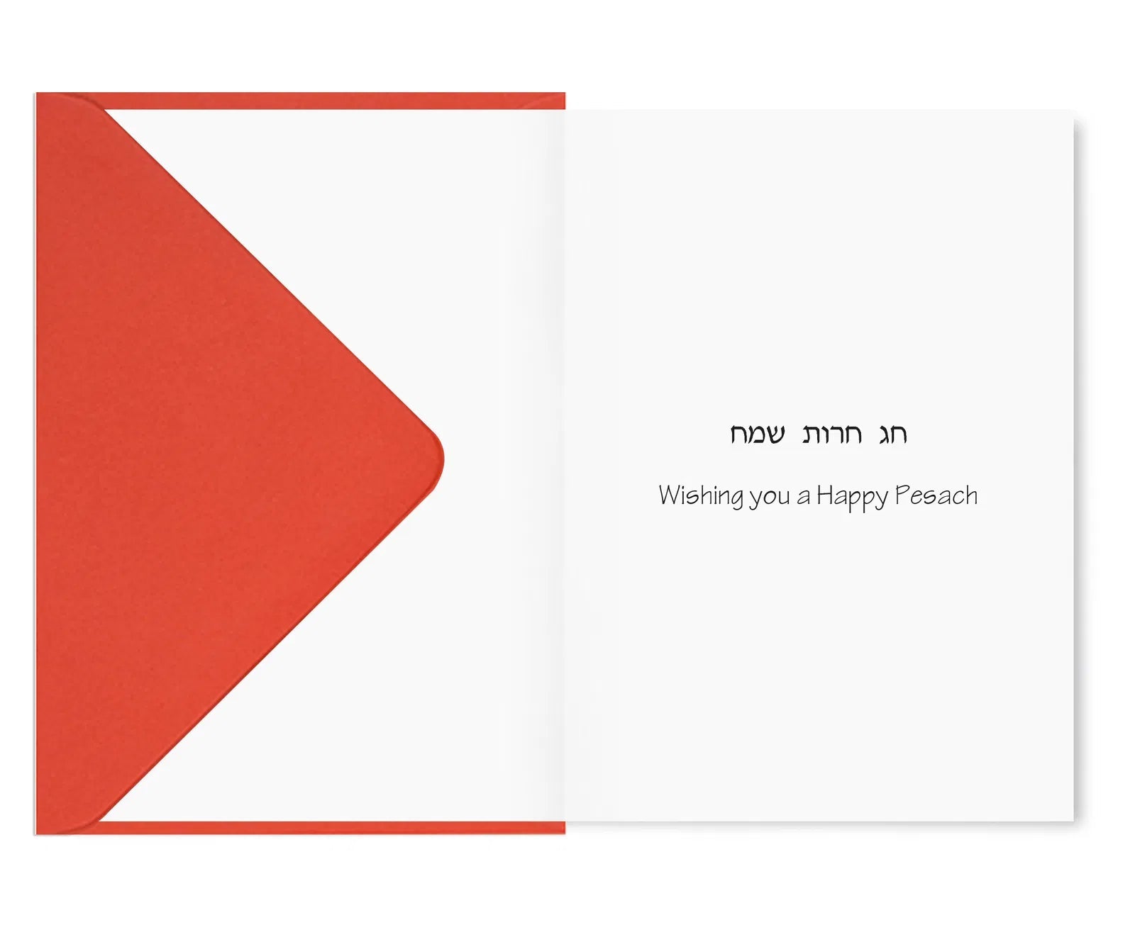 Greeting Card – Pesach, 10 Plagues