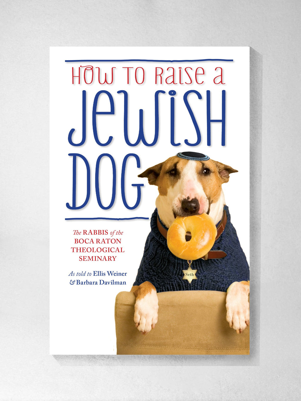 How To Raise a Jewish Dog - Rabbis of Boca Raton