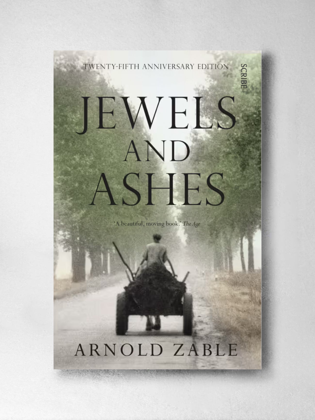 Jewels and Ashes - Arnold Zable