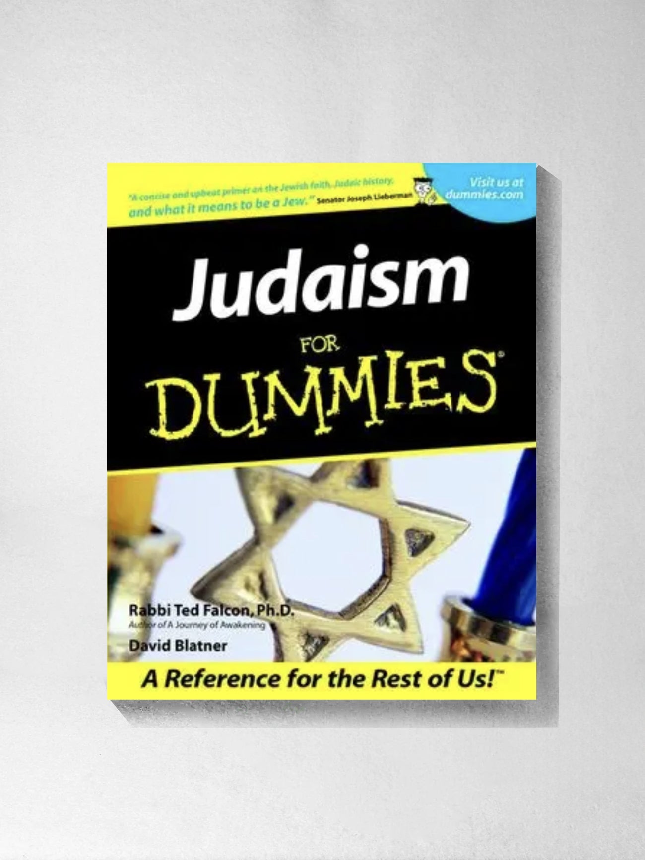 Judaism for Dummies - Ted Falcon