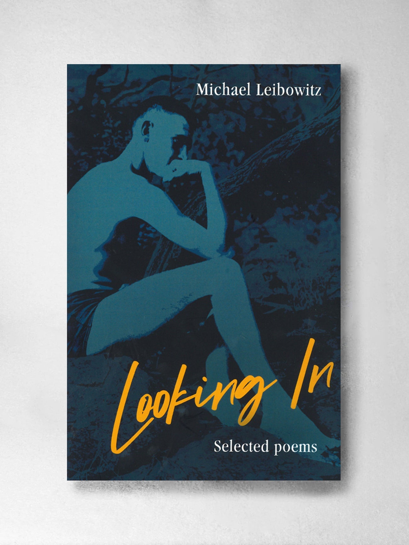 Looking In : Selected Poems by Michael Leibowitz