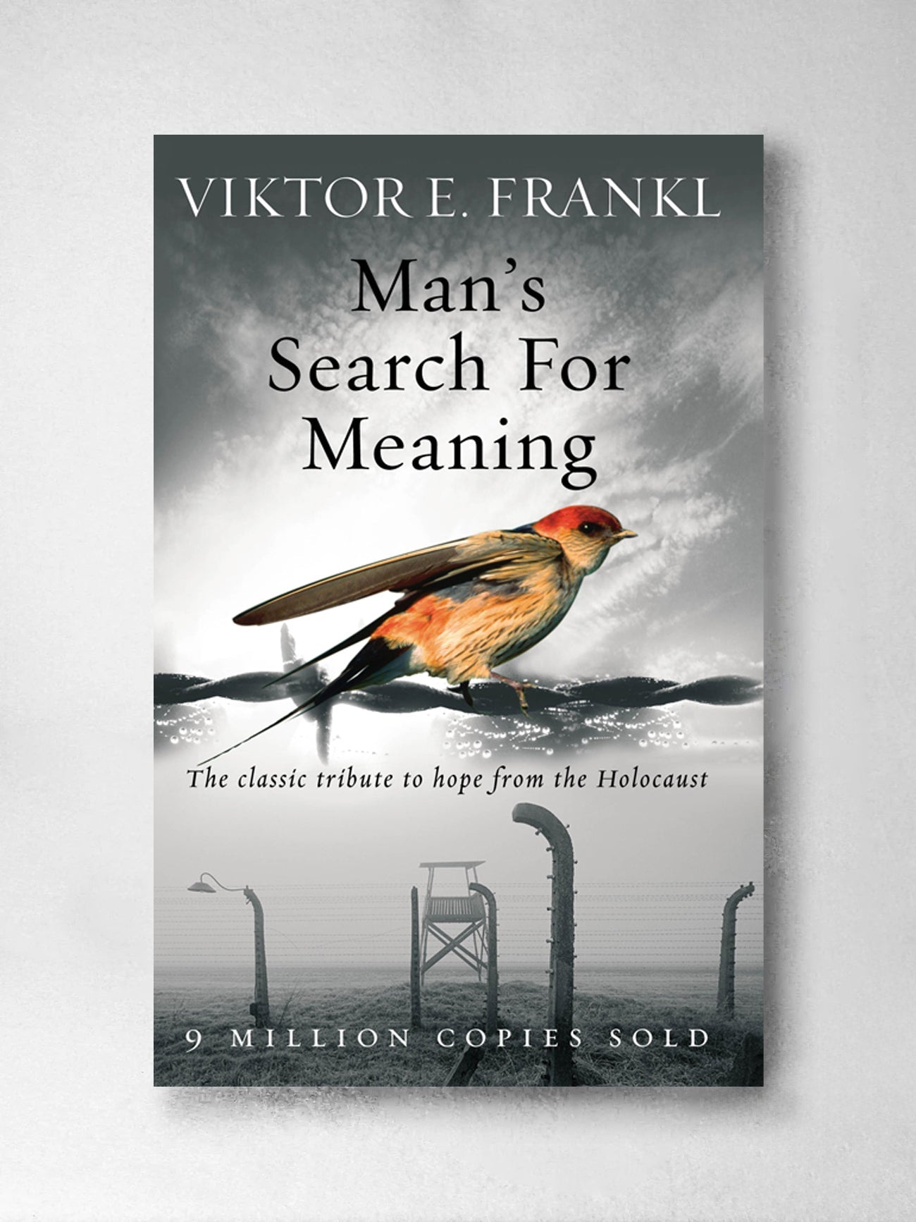 Man's Search for Meaning - Viktor E Frankl