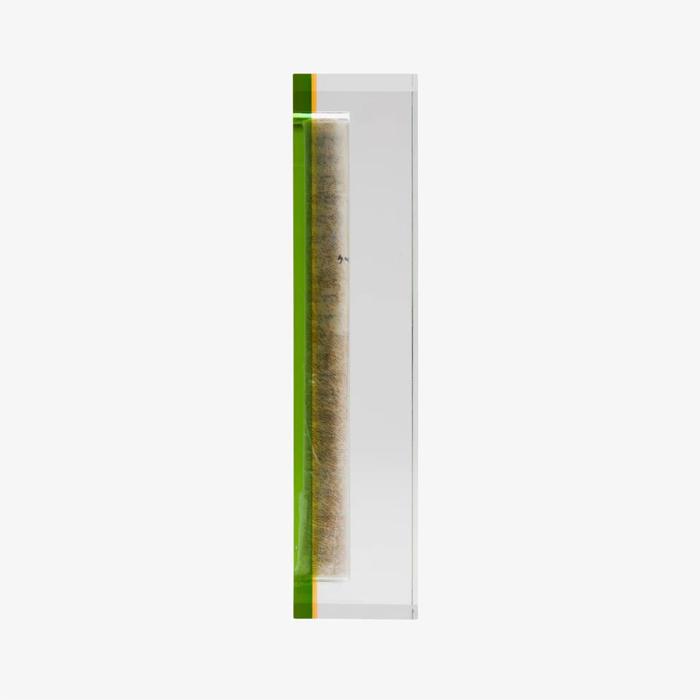 Mezuzah - Apeloig, Green