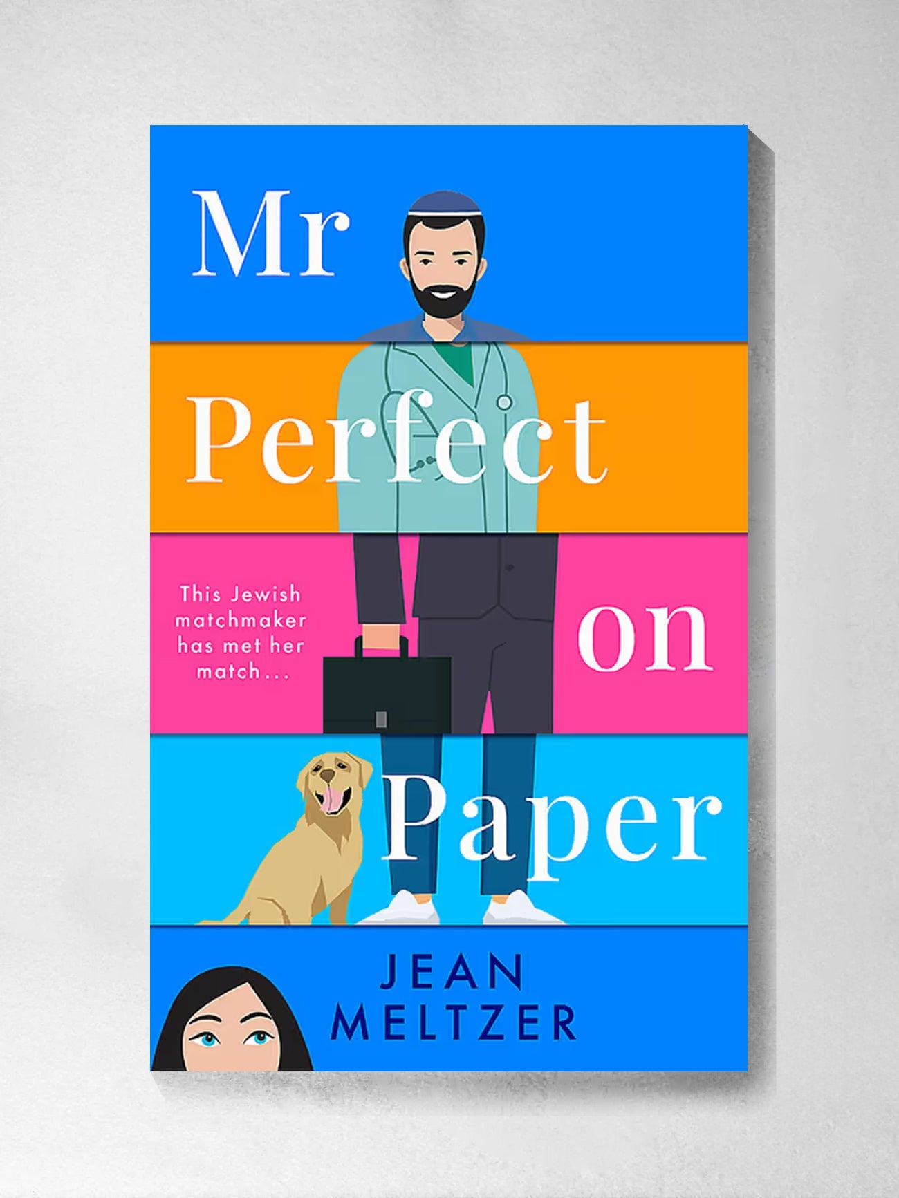 Mr Perfect on Paper - Jean Meltzer