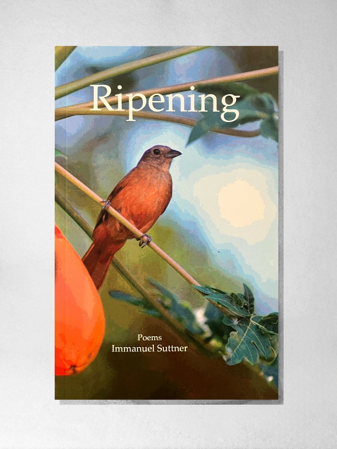 Ripening - Immanuel Suttner