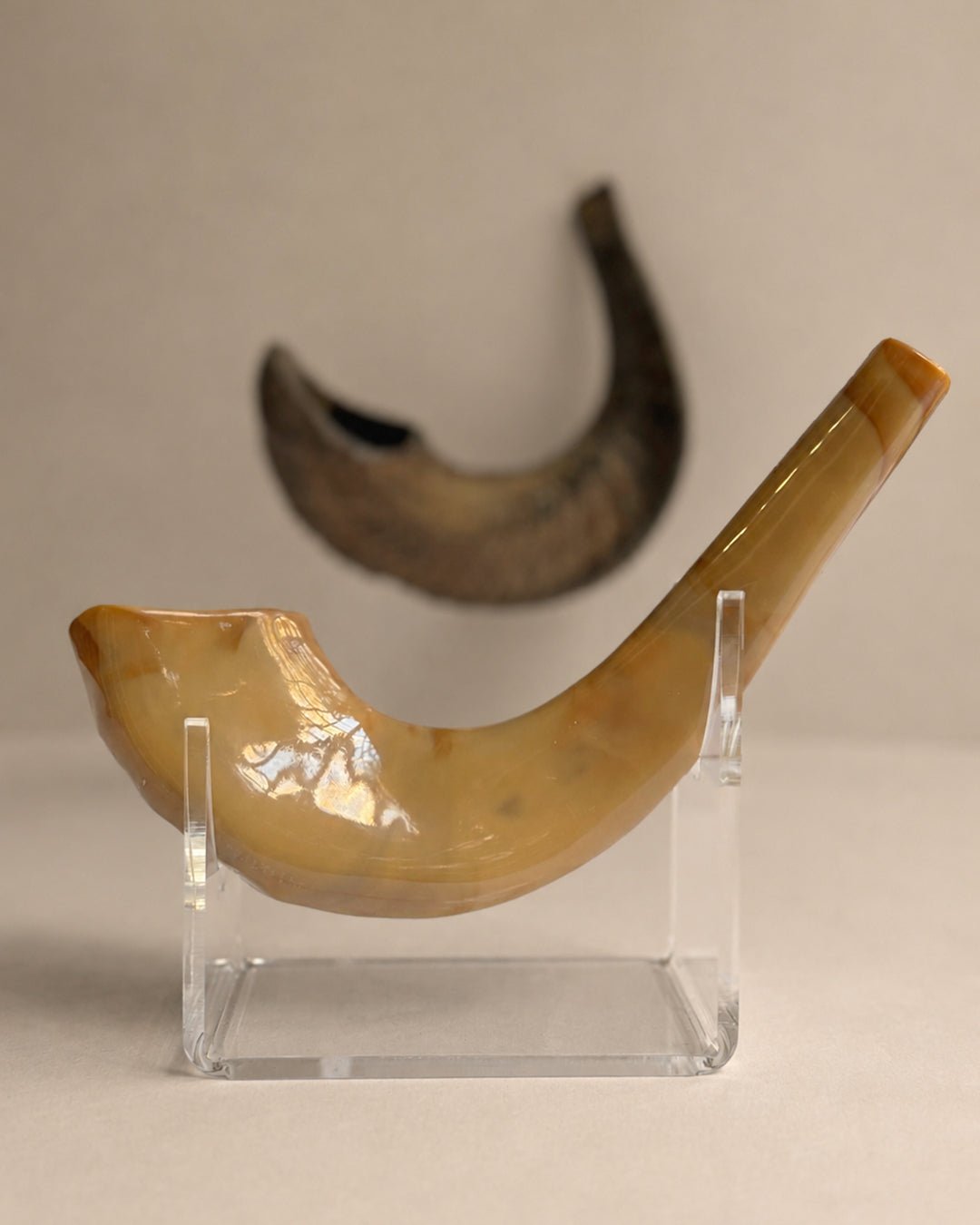 Shofar - Kids plastic