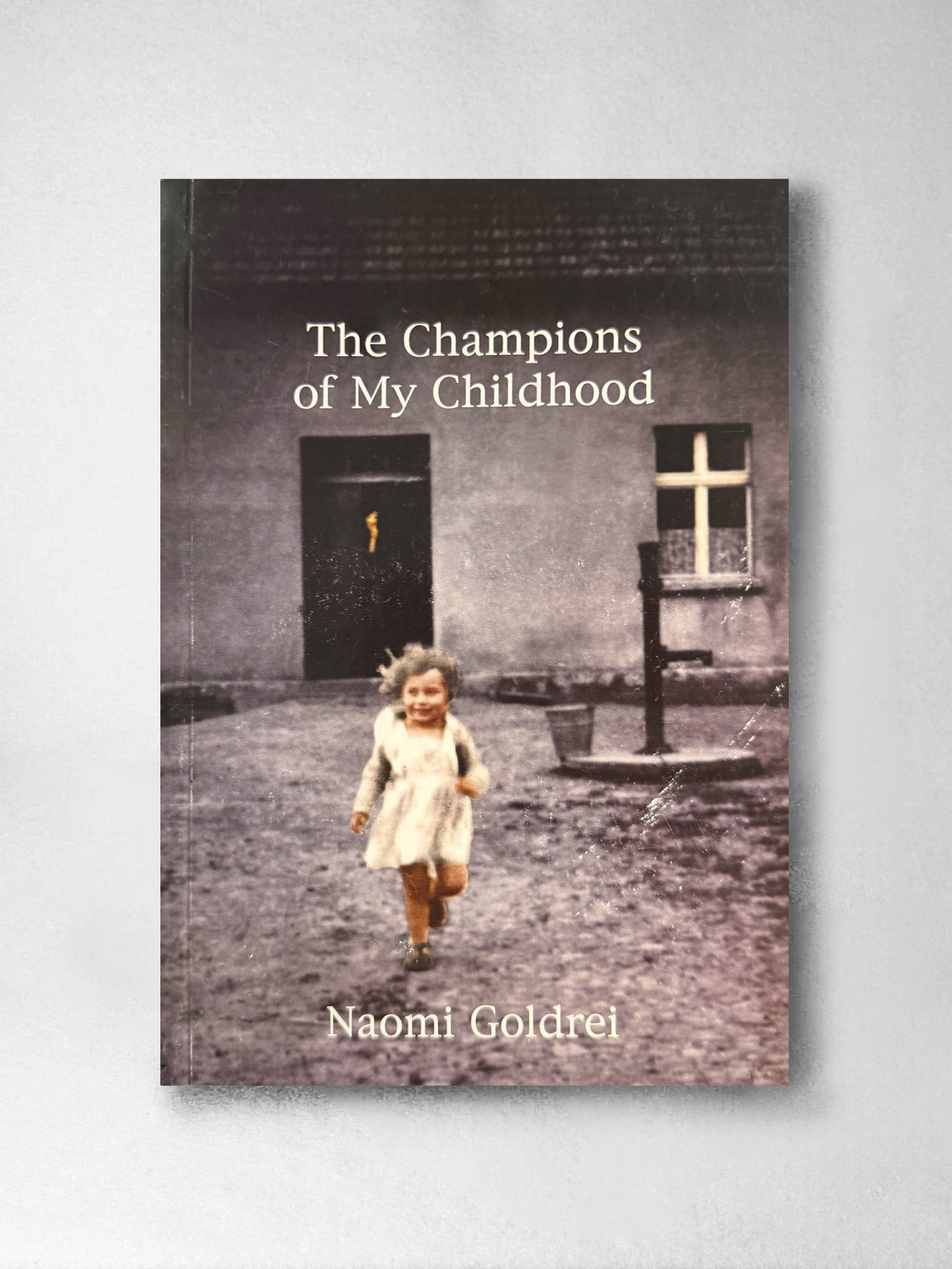 The Champions of my Childhood - Naomi Goldrei