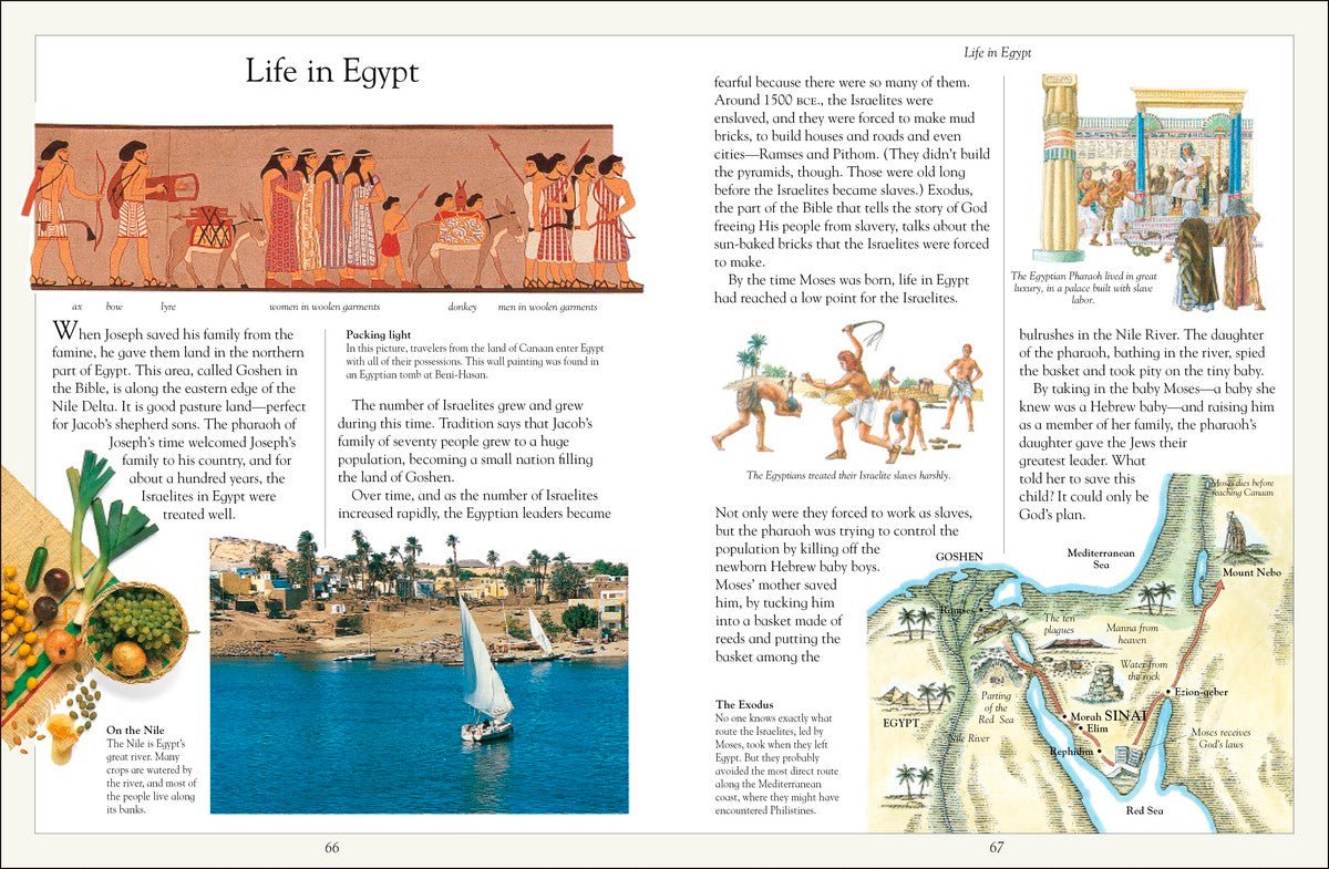 The Children's Illustrated Jewish Bible