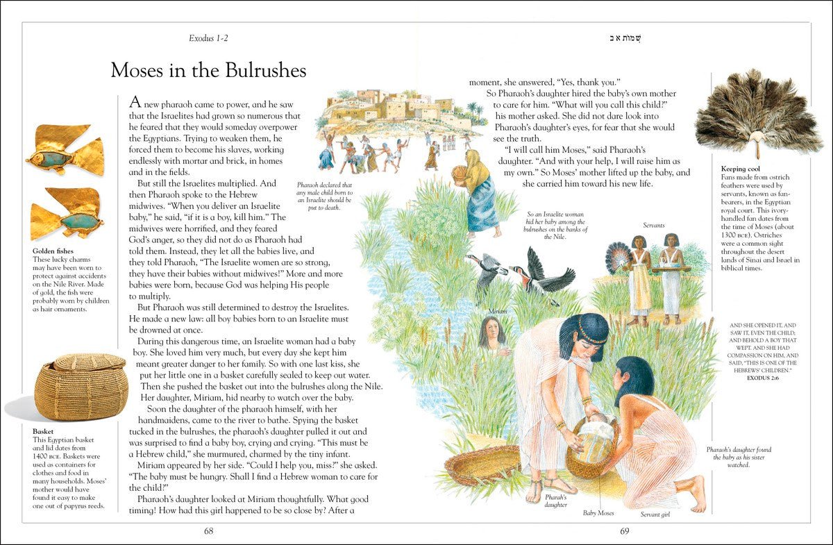 The Children's Illustrated Jewish Bible