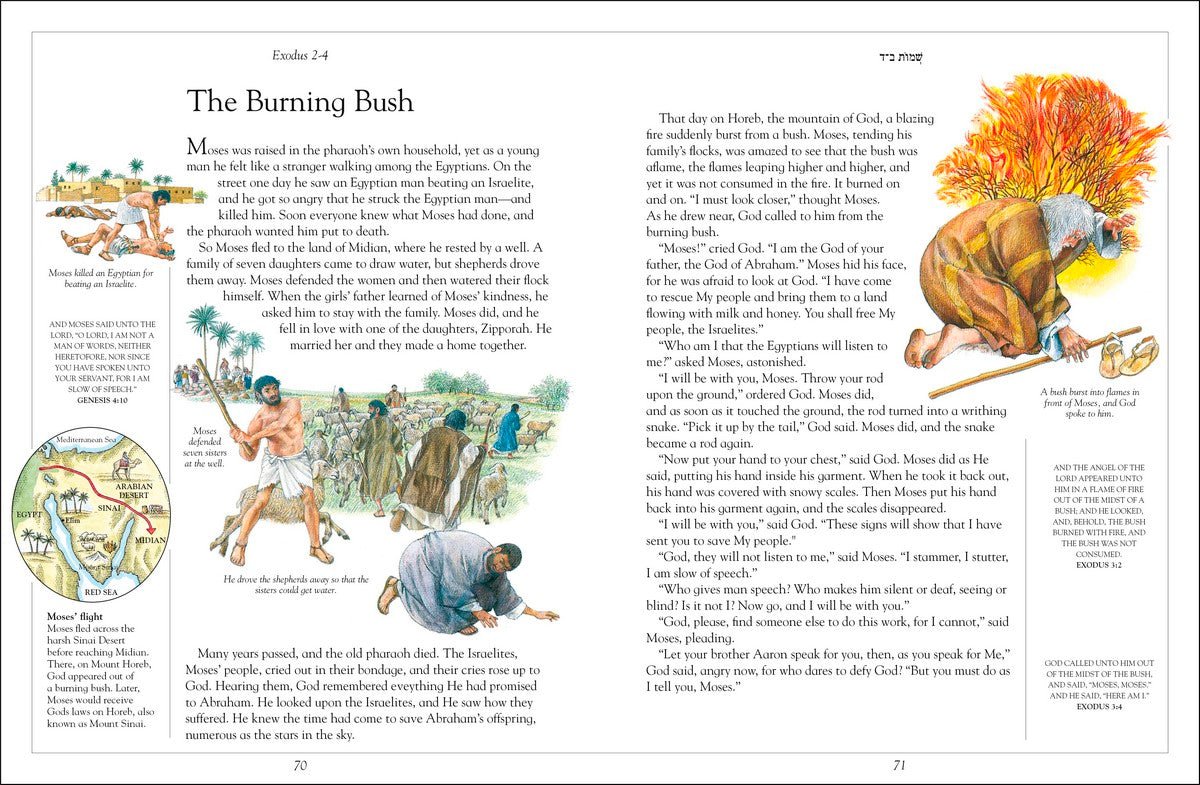 The Children's Illustrated Jewish Bible