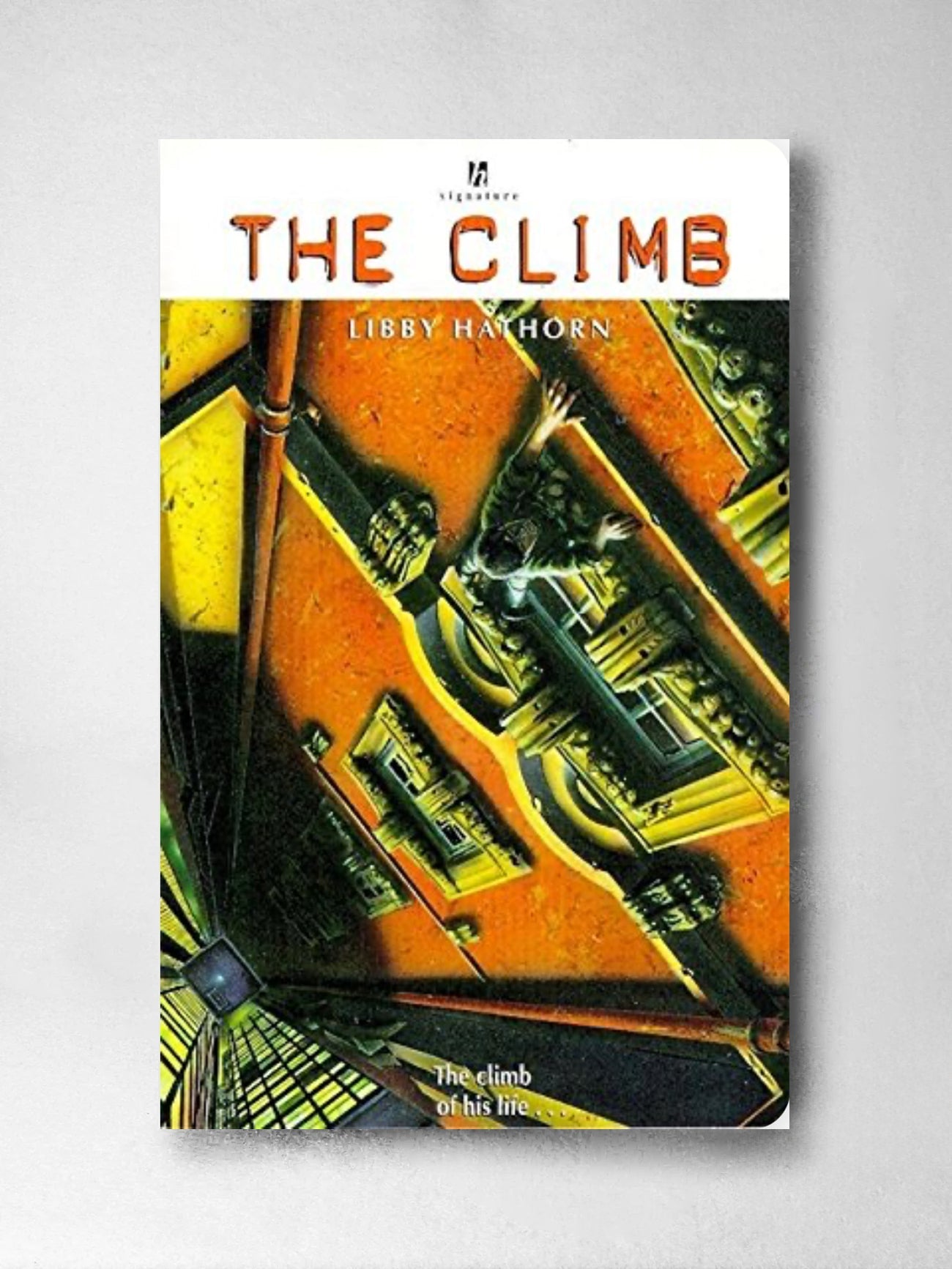 The Climb - Libby Hathorn