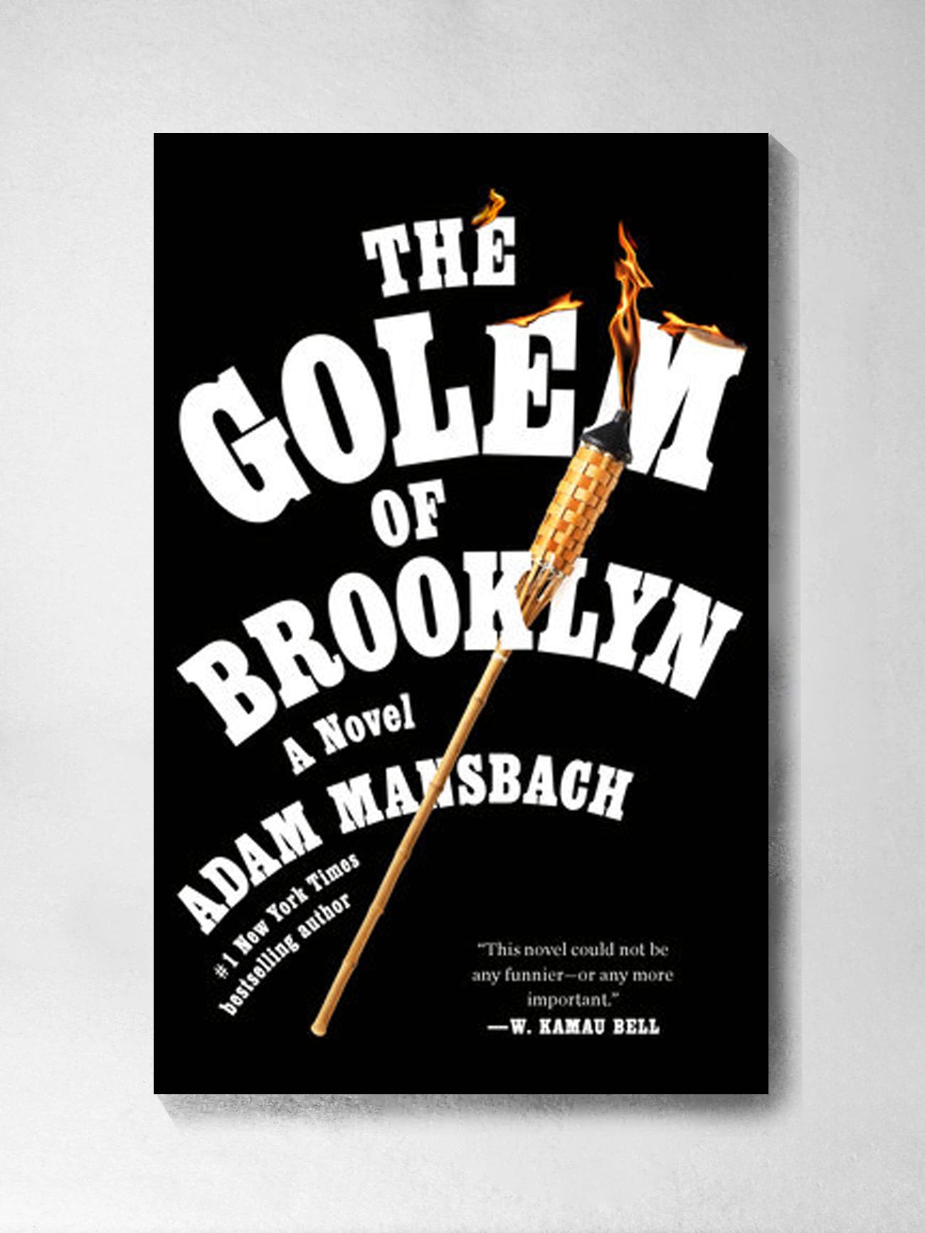 The Golem of Brooklyn - Adam Mansbach