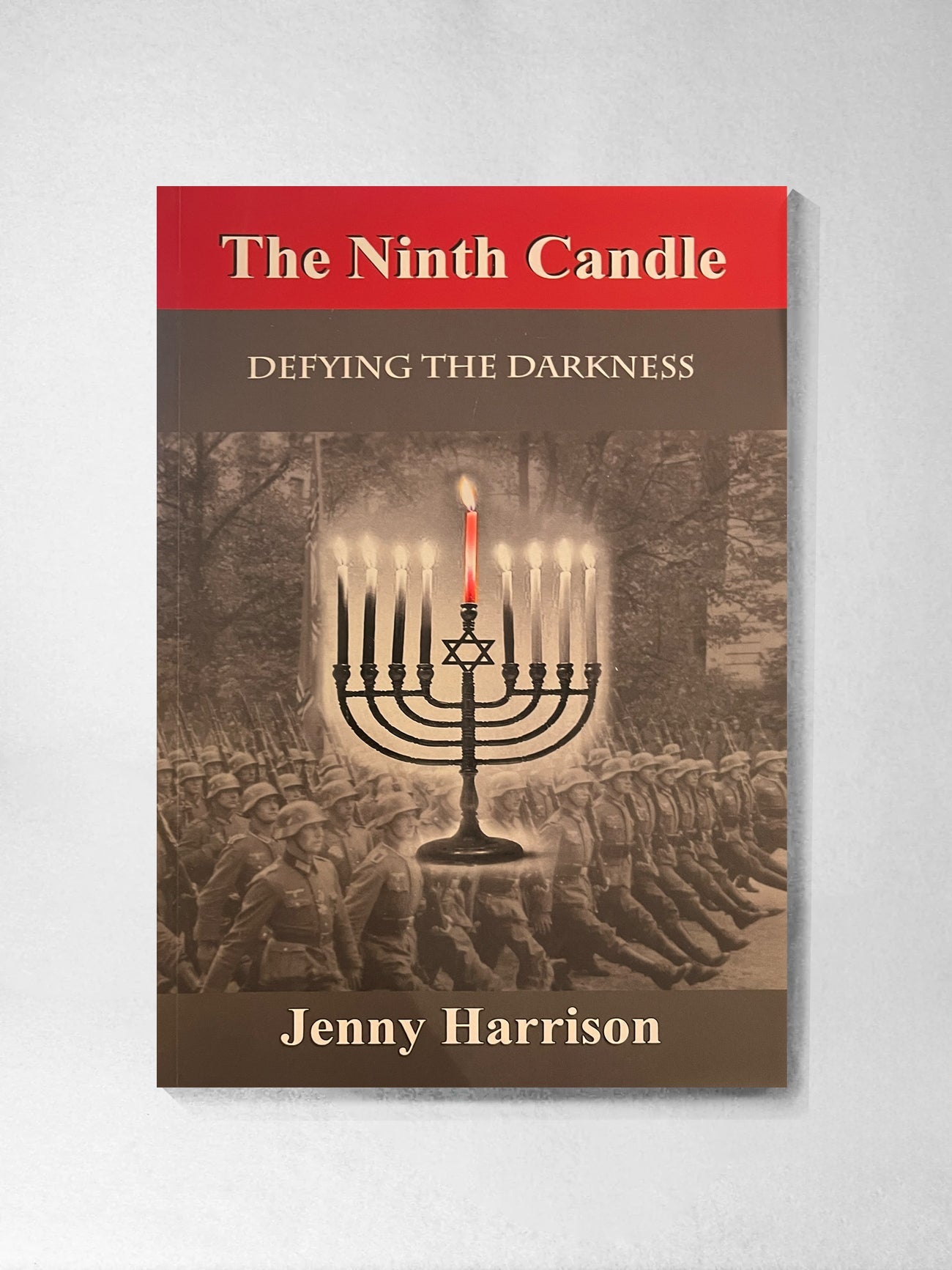 The Ninth Candle - Jenny Harrison