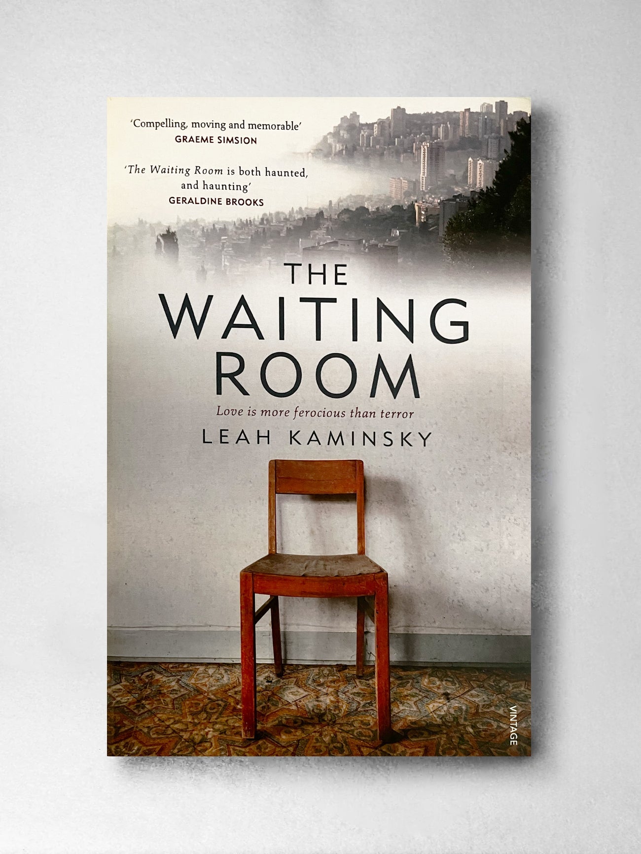 The Waiting Room - Leah Kaminsky