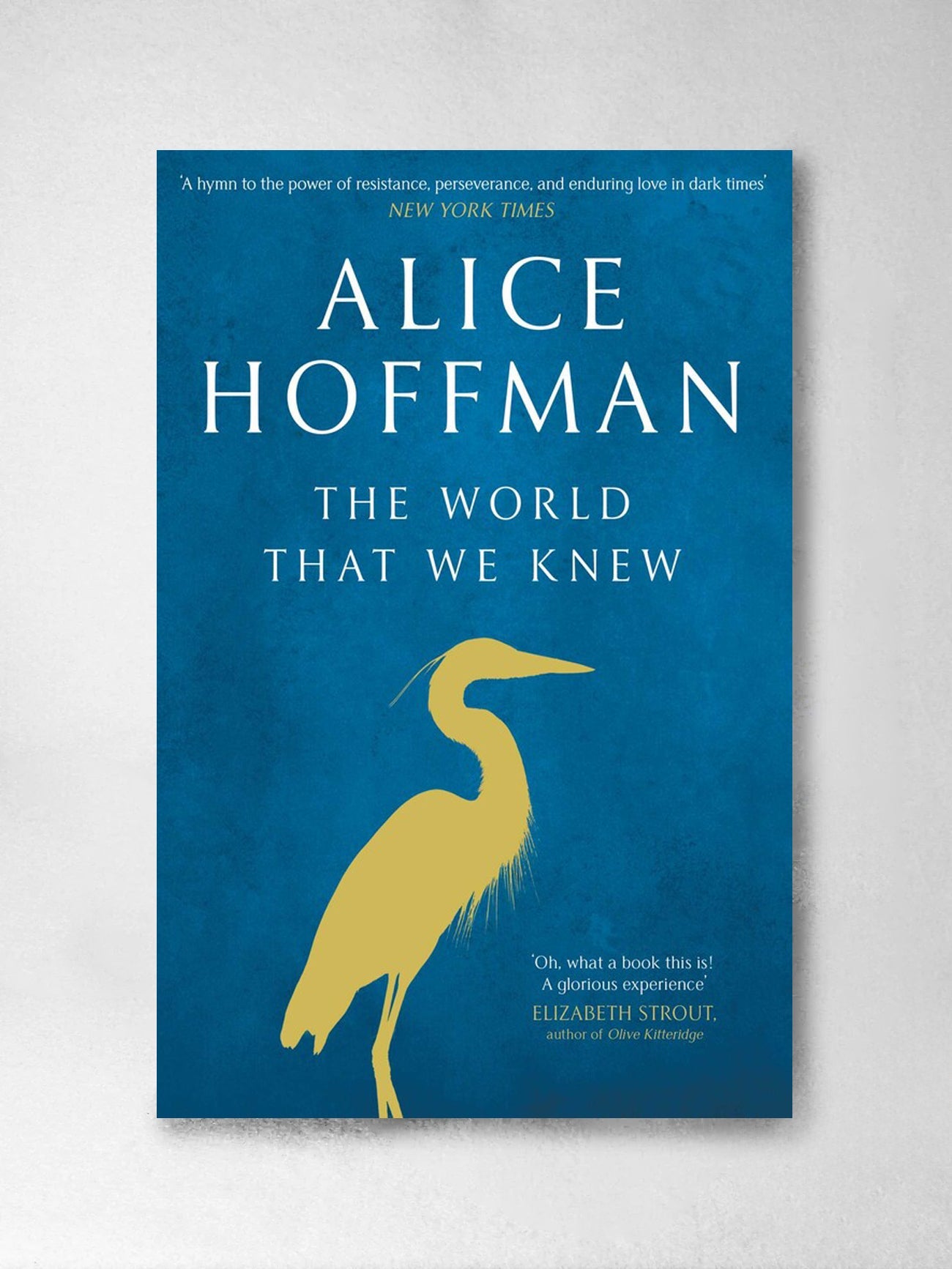 The World That We Knew - Alice Hoffman