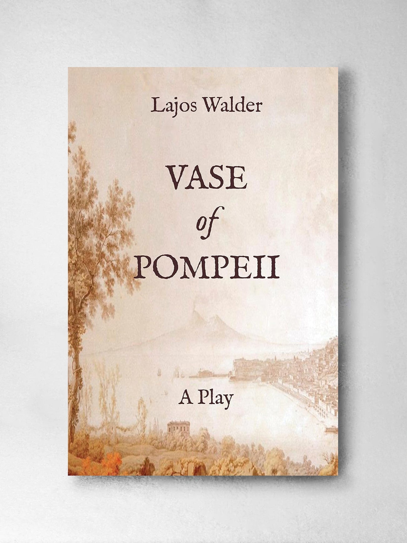 Vase of Pompeii: A Play - Lajos Walder