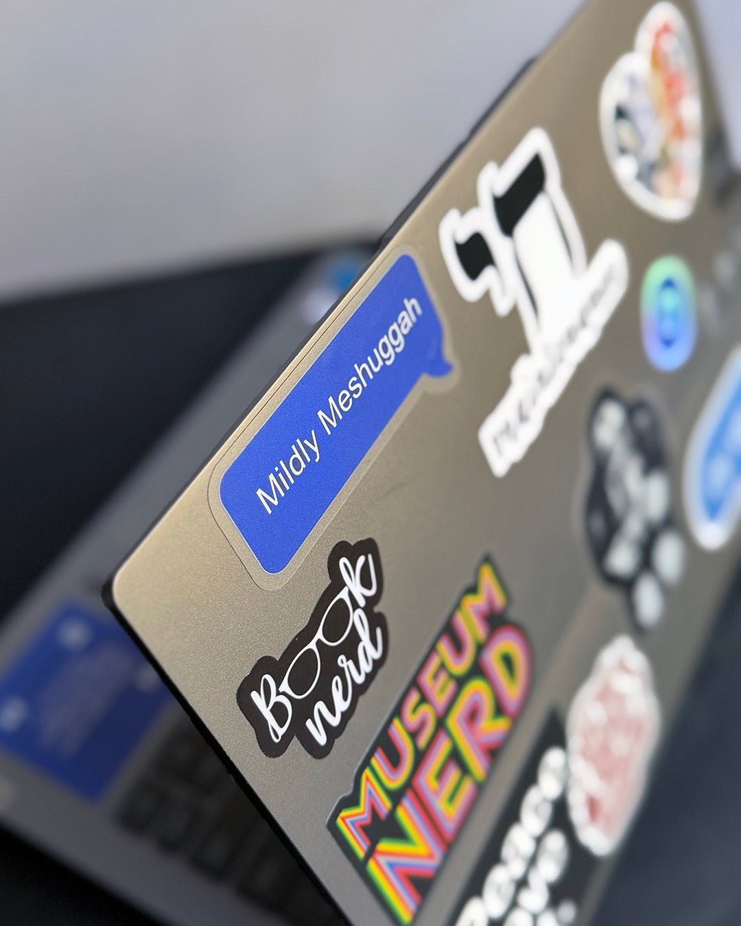 Vinyl Sticker - Mildly Meshuggah